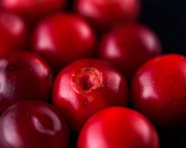 Hasat taze kırmızı Vaccinium vitis idaea, kızılcık, lingonberries, rustik koyu arka plan üzerinde cowberries. Sonbahar Kış konsepti. Yakın çekim yiyecek görüntü.