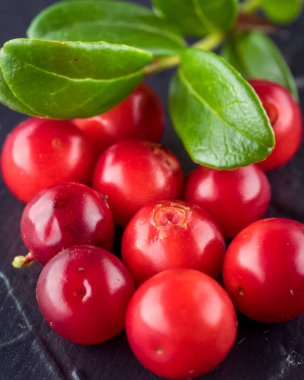 Hasat taze kırmızı Vaccinium vitis idaea, kızılcık, lingonberries, rustik koyu arka plan üzerinde cowberries. Sonbahar Kış konsepti. Yakın çekim yiyecek görüntü.