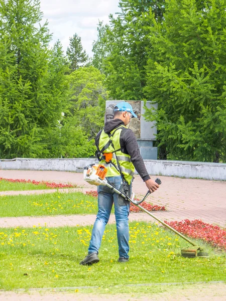 The lawn mower works in a flower bed in the city center. trimmin