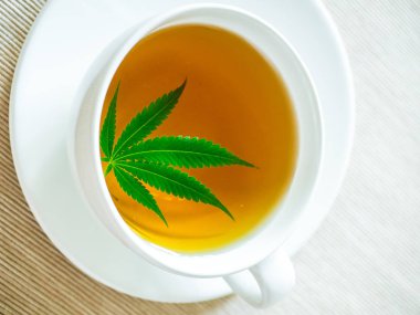 marihuana ile çay. Kenevir yaprağı bitkisel kaynatmalı demlenir 