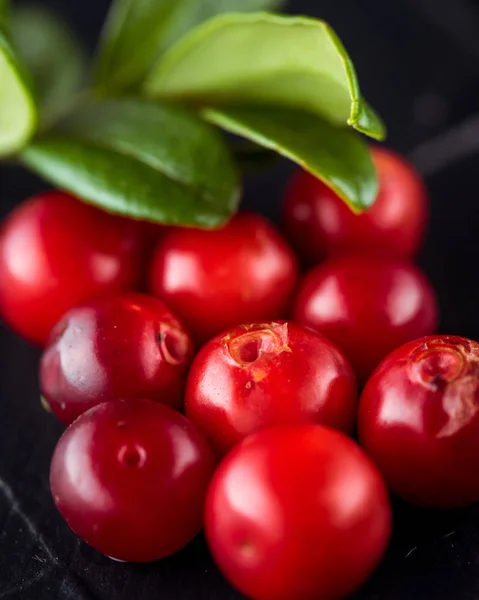 Cowberry (foxberry, lingon). Vilda tranbär på mörkt rustika — Stockfoto