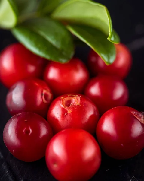 Récolte rouge fraîche Vaccinium vitis-idaea, canneberges, lingonberr — Photo