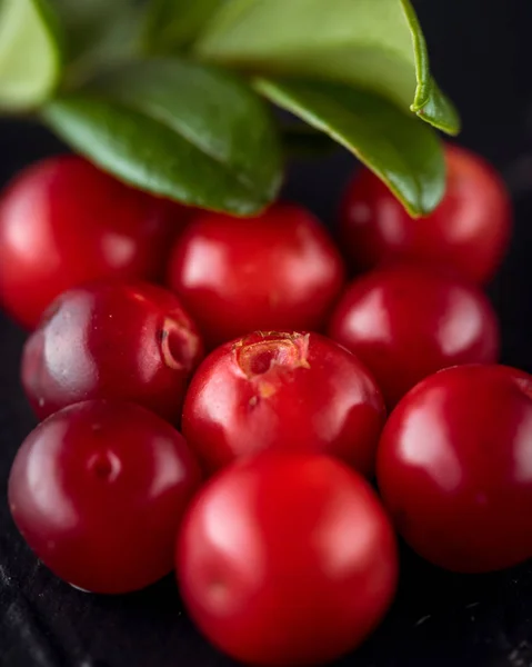 Cowberry (foxberry, lingon). Vilda tranbär på mörkt rustika — Stockfoto