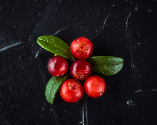 Cowberry (foxberry, Lingonberry). Üst görünüm. Vahşi kızılcık da
