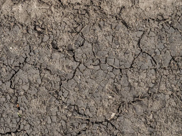 乾燥したひび割れた地球 抽象的な背景 — ストック写真