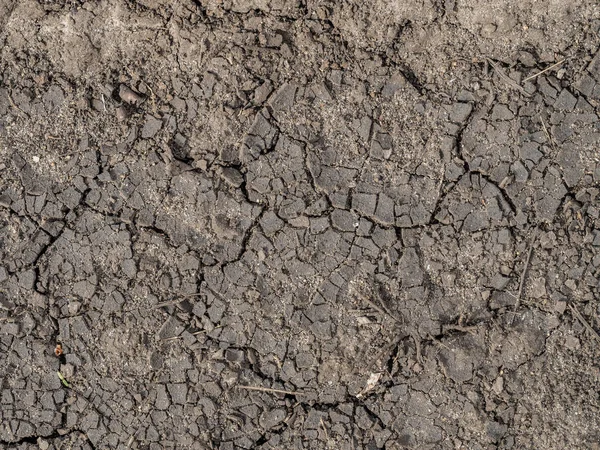 kuru çatlak toprak, soyut fon
