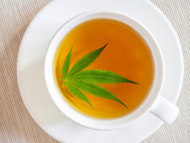 marihuana ile çay. Kenevir yaprağı bitkisel kaynatmalı demlenir 