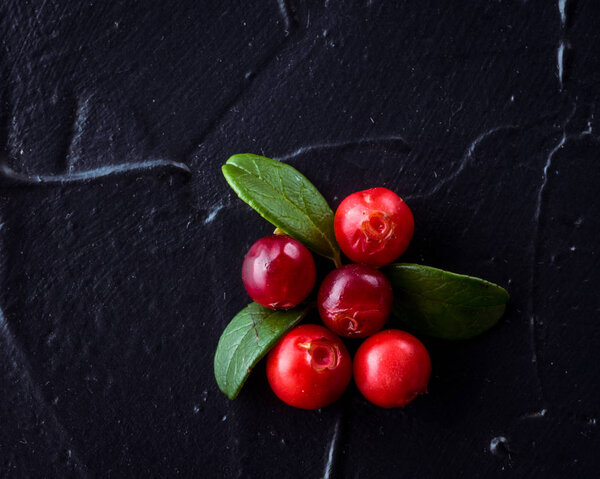 Cowberry (foxberry, lingonberry). Top view. Wild cranberry on da
