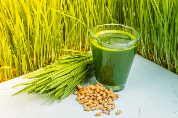 wheat grass juice on table. Green organic wheat grass drink with