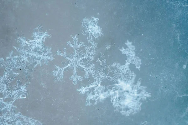 Fragment of snow texture Snowflakes covered plan. white pure sno — Stock Photo, Image