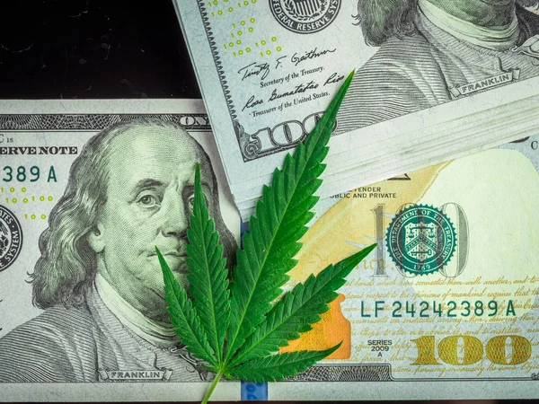 Marihuana ve taze kenevir siyah bir arka plan üzerinde bırakır. Dolla