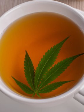 marihuana ile çay. Kenevir yaprağı bitkisel kaynatmalı demlenir 