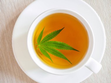 marihuana ile çay. Kenevir yaprağı bitkisel kaynatmalı demlenir 