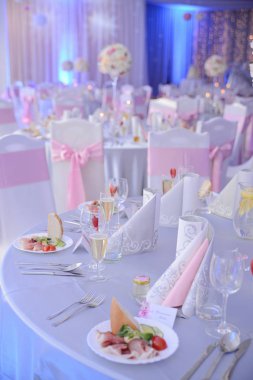 ham bir meze ve güzel bir sofra bir düğünde