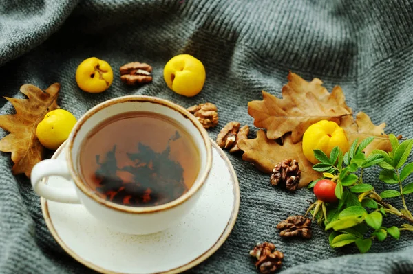 Cup of tea with autumn leaves — Stock Photo, Image