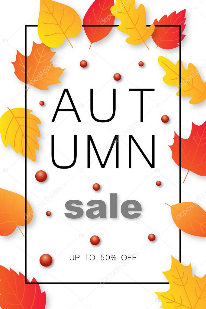 Autumn sale background layout decorate with leaves for shopping