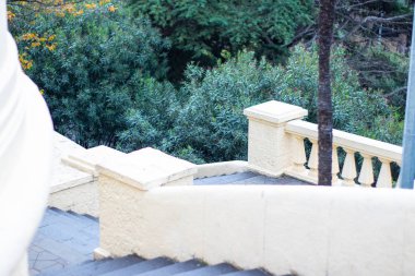 Ağaçlar merdivenlerde şehir