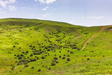 Orta yolu ve çalıları olan büyük yeşil bir alan. Mavi gökyüzü ile güzel bir arazi manzarası