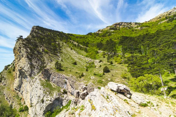 Cliff coberto com floresta em um fundo de nuvens incríveis . — Fotografia de Stock