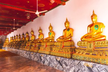 Bangkok, Tayland 'daki Wat Pho' da birçok Buda heykeli.