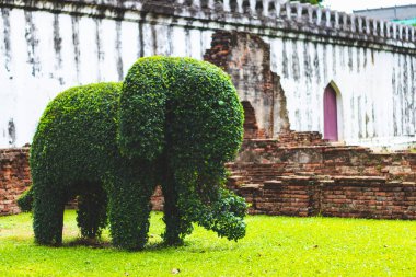 Lopburi şehrindeki yapraklardan yapılmış bir filin yeşil figürü. Tayland.