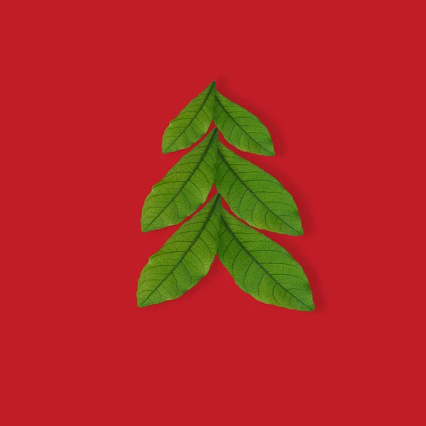 Weihnachtsbaum Aus Grünem Blatt Auf Rotem Hintergrund Jahreszeiten Gruß Minimales — Stockfoto