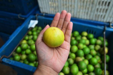 Tazelik, yandan, yeşil limon limonu
