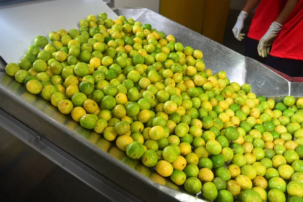 Grön Färsk Citron Lime Högen Lime Citron Välj För Sälja — Stockfoto