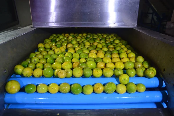 Grüne Frische Zitronenlimonade Haufen Limette Zitrone Auswählen Für Den Verkauf — Stockfoto