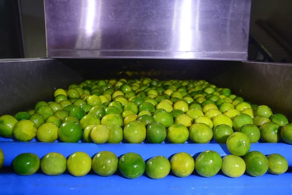 Grüne Frische Zitronenlimonade Haufen Limette Zitrone Auswählen Für Den Verkauf — Stockfoto