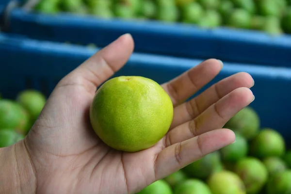 Limas Frescura Mano Limón Verde —  Fotos de Stock