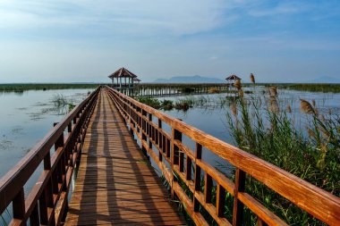 Wooden Bridge uygulamasında lotus Gölü, Khao Sam ROI Yod Milli Parkı, Prachuap Khiri Khan il, Tayland