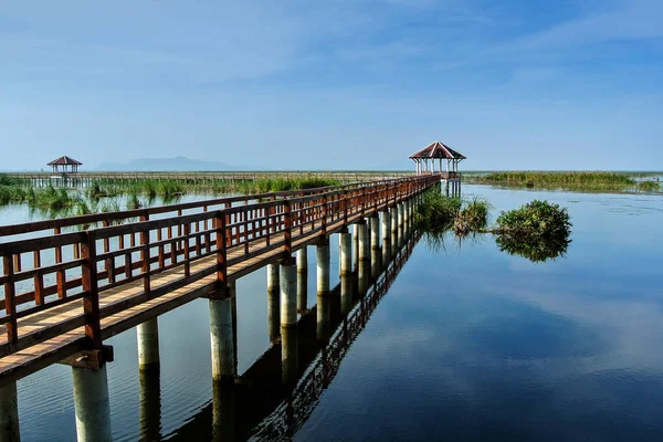 Wooden Bridge uygulamasında lotus Gölü, Khao Sam ROI Yod Milli Parkı, Prachuap Khiri Khan il, Tayland