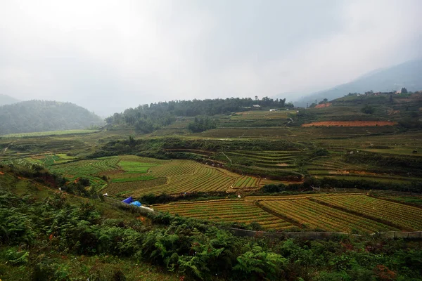 Beautiful Landscape Green Field Mountains Cloudy Sky Vietnam — Stock Photo, Image