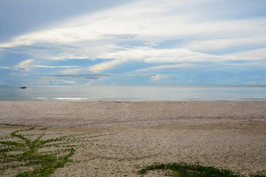 Tropikal plaj arka plan deniz, kum, gökyüzü ve yaz günü beyaz kum
