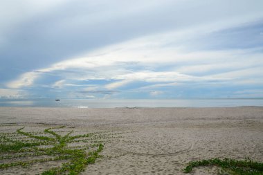 Tropikal plaj arka plan deniz, kum, gökyüzü ve yaz günü beyaz kum