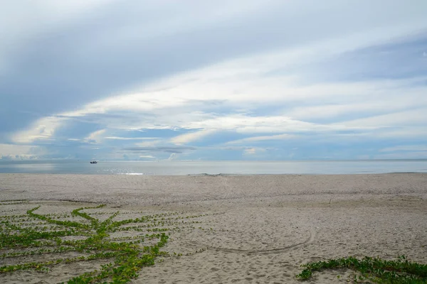 Tropikal plaj arka plan deniz, kum, gökyüzü ve yaz günü beyaz kum