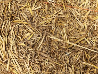 Kuru ot, saman dokulu sınır arka plan vintage tarzı, saman wa