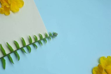 Yaratıcı mavi arka plan müziği üzerinde sarı çiçekler ve yeşil yaprak dışarı yatıyordu