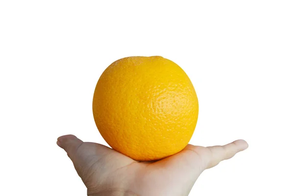 Hand hält Orange auf isoliertem, weißem Hintergrund — Stockfoto