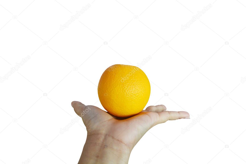Hand holding orange on isolated on white background
