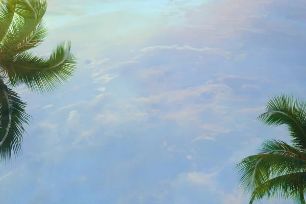 コピースペースを持つ熱帯ココナッツヤシの木の抽象的な背景, — ストック写真
