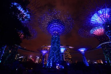 Singapur - 16 Kasım 2014 : Si'deki Bay'in Graden'deki Supertree Grove'un gece görünümü
