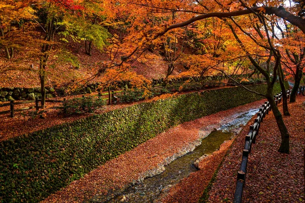 Maple Leaves kleurrijke vallen in de herfst seizoen langs Canal Ston — Stockfoto
