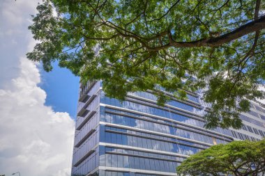 Singapur Penang Rd doğal yeşil parkta mutlu görünümlü açık havada rahatlatıcı genç Asyalı kadın.