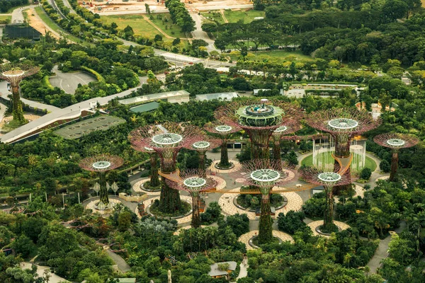 СИНГАПУР - 16 ноября 2014 года: Вид на рощу Супердерево в t — стоковое фото