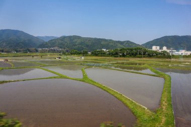 Ise gingu tapınağına giden demiryolu tren hattının doğa manzarası. Ise Jingu