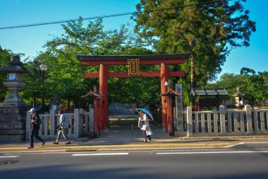 Nara, Japonya - 23 Mayıs 2019 : Nara Park popüler turistlerden biri