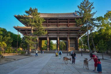 Nara, Japonya - 23 Mayıs 2019 : Todaiji Tapınağı turist po biridir