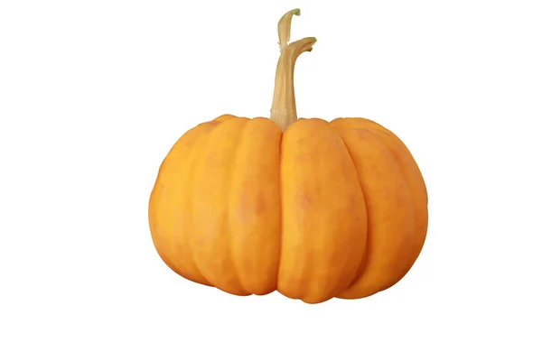 Zucca arancione isolato su isolato su uno sfondo bianco.con — Foto Stock